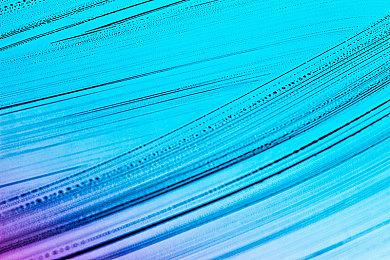 原版《生化危机4》助阵犬在重制版中或将遭遇噩运